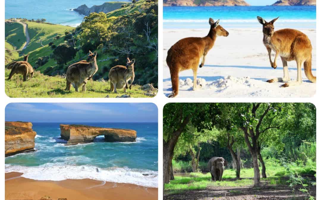 Australia – A Wildlife Adventure