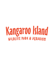 kangaroo island wildlife
