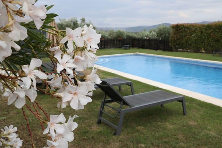 Quinta swimming pool